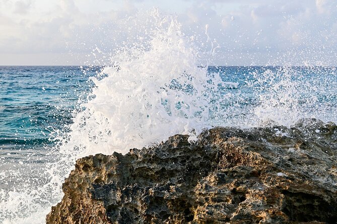 Private Day Trip From Cancun To Tulum, English Speaking Driver - Visiting Playa del Carmen and Playa del Carmen Native Park