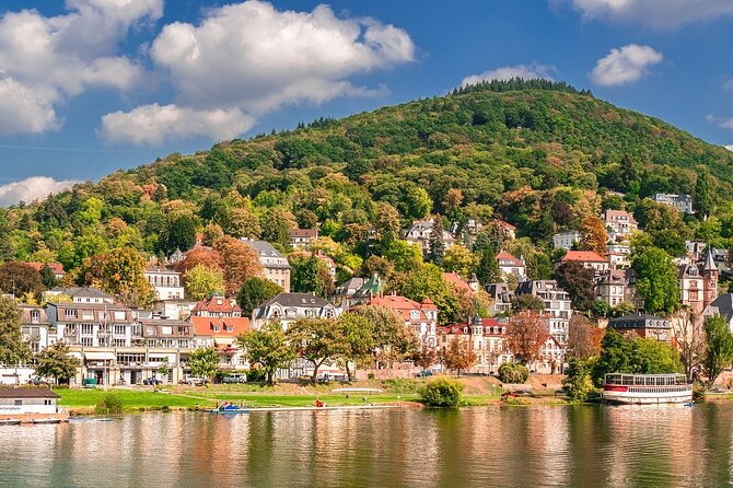 Private day trip: from Frankfurt to Heidelberg and back - Key Points