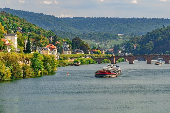 Private day trip: from Frankfurt to Heidelberg and back - Flexibility and Additional Vehicle Options