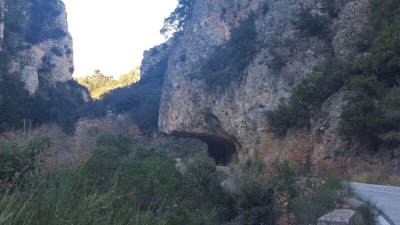 Private Day Trip from Kalamata to Sparta - Tour Duration, Timing, and Availability