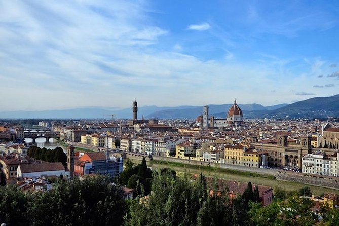 Private Day Trip from Livorno port to Florence and Pisa - Review Highlights and What to Expect