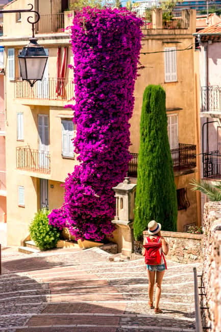 Private day trip from Monaco to the gems of French Riviera - Explore the Glamorous French Riviera in Comfort and Style