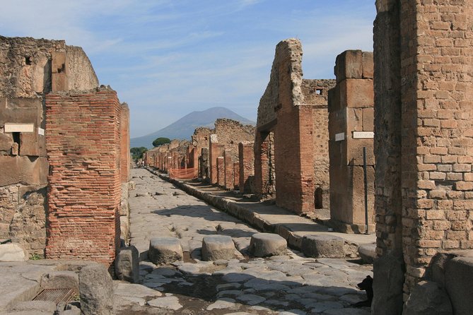 Private Day trip from Rome to Pompeii with official guide inside Ruins - Scenic Drive through Lazio and Campania Landscapes