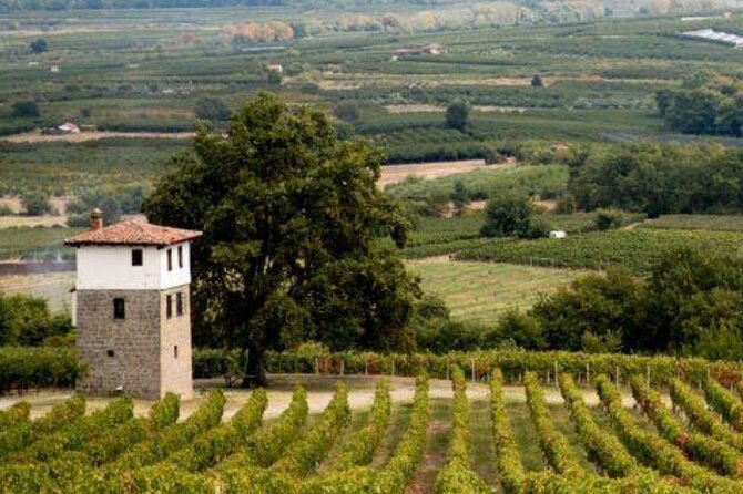 Private Day Trip from Thessaloniki to Vergina, Naousa, and Edessa - Highlights of the Tour: Cultural and Natural Treasures