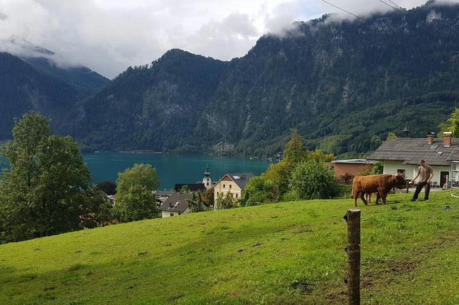 Private Day Trip from Vienna to Hallstatt - Logistics and Practical Details