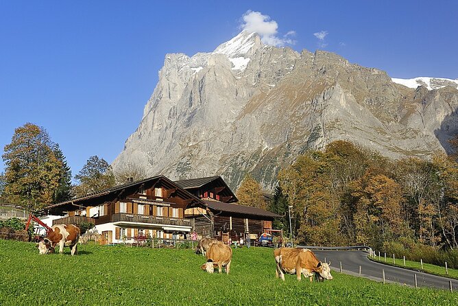 Private day trip from Zurich to Grindelwald, Interlaken and back - Flexibility and Customization During the Day