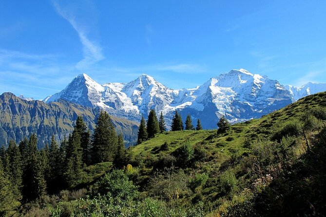Private day trip from Zurich to Grindelwald, Interlaken and back - The Scenic Drive and Views