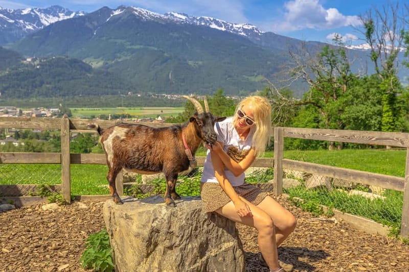 Private day trip from Zurich to Heidiland and Vaduz - Vaduz’s Cultural and Scenic Highlights