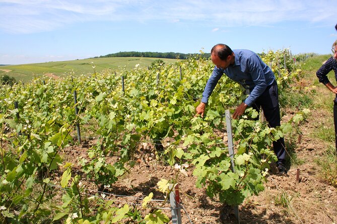 Private Day Trip Paris to Champagne: Lunch+Tastings with Producer - Discover the Charm of a Private Champagne Day Trip from Paris