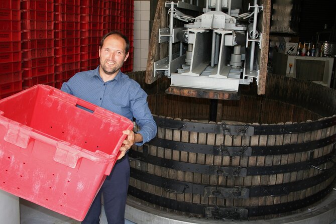 Private Day Trip Paris to Champagne: Lunch+Tastings with Producer - Key Points