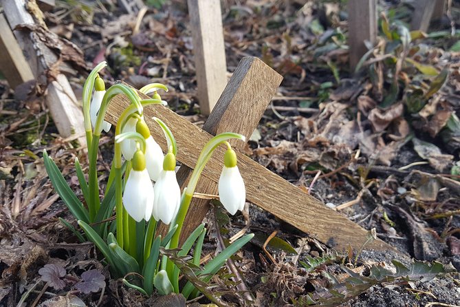 Private Day Trip to Anyksciai and The Hill of Crosses from Vilnius - Treetop Adventure in Aukštaitija National Park