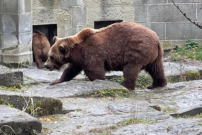 Private day trip to Bern from Geneva - Panoramic Views from the Rose Garden