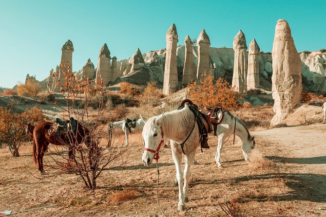 Private Day Trip to Cappadocia from Istanbul - Exploring Uchisar Castle and Its Viewpoints