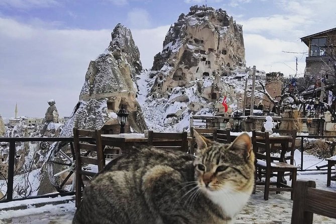 Private Day Trip to Cappadocia from Istanbul - Pasabag and the Fairy Chimneys