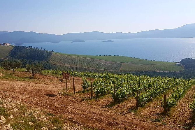 Private Day Trip to Dubrovnik from Split - The Guide: Knowledgeable and Approachable