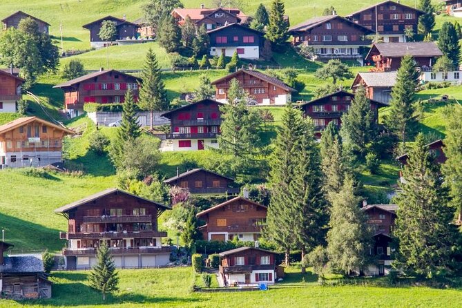 Private Day Trip to Harder Kulm and Grindelwald - What’s Included and What to Expect