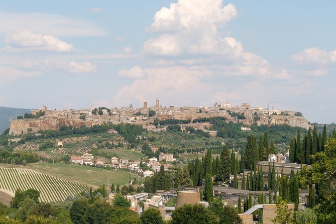 Private Day Trip to Orvieto and Civita Bagnoregio from Civitavecchia Cruise Port - Key Points