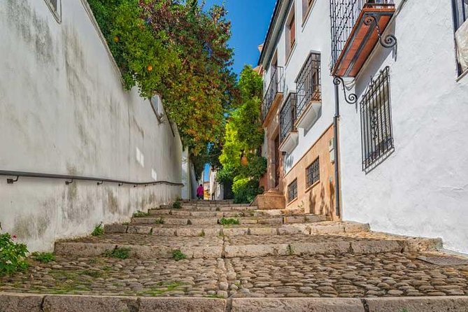 Private Day Trip to Ronda from Marbella - The Guide: Knowledgeable and Engaging