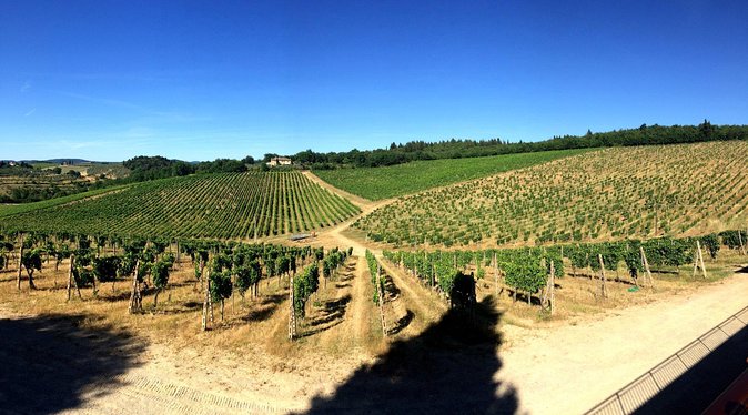 Private Day Trip to Siena and San Gimignano from Rome - Exploring Siena’s Artistic and Religious Treasures