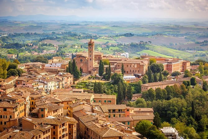 Private day trip to Siena, San Gimignano, Chianti and Pisa, from Florence - Shopping and Local Products in San Gimignano