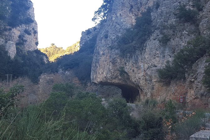 Private Day Trip to Sparta from Kalamata (Price per Group) - Optional Mediterranean-Style Lunch