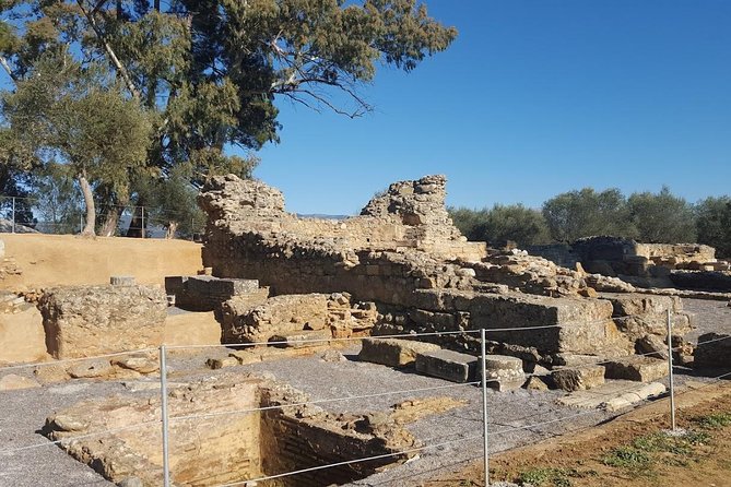 Private Day Trip to Sparta from Kalamata (Price per Group) - Flexibility and Customization for Shore Excursions