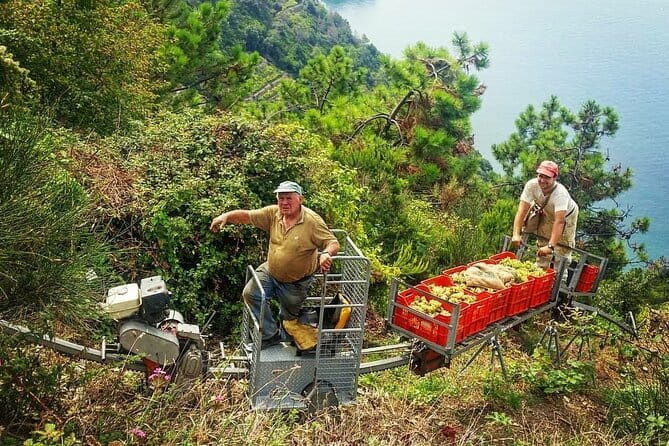 Private Day Trip to the Cinque Terre from Florence - Suitability and Physical Considerations