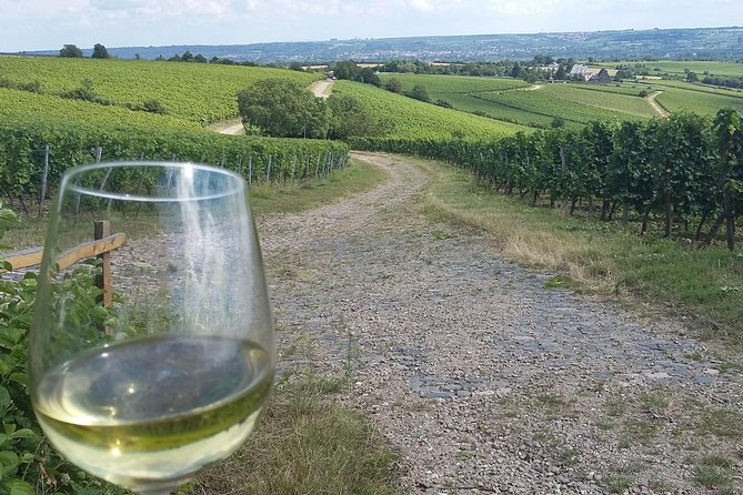 Private day trip to the Romantic Rhine Valley with river cruise and wine tasting - Enjoying the Rhine on a Scenic River Cruise