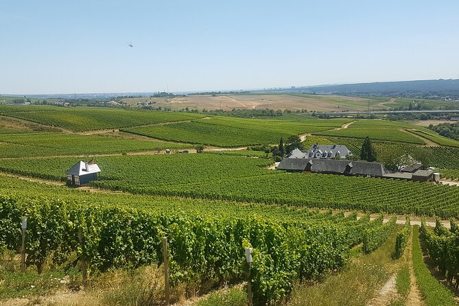 Private day trip to the Romantic Rhine Valley with river cruise and wine tasting - Wine Tasting and Optional Lunch in Oberwesel