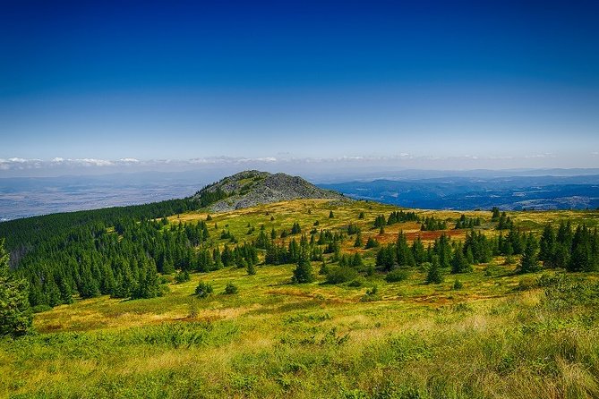 Private Day Trip to the Vitosha Mountain and Pancharevo Lake - Booking and Cancellation Policies