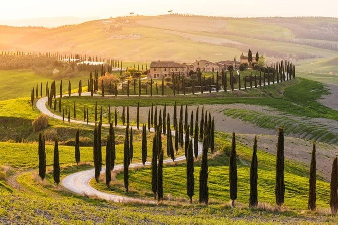 Private Day Trip Tuscany Landscape and Wine Tasting from Florence - Experience the Best of Tuscany Without the Self-Drive Stress