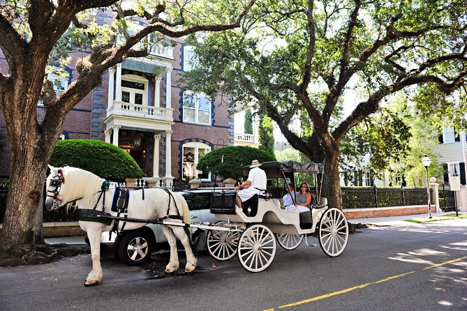 Private Daytime Horse-Drawn Carriage Tour of Charleston - The Route: Iconic Landmarks and Scenic Streets
