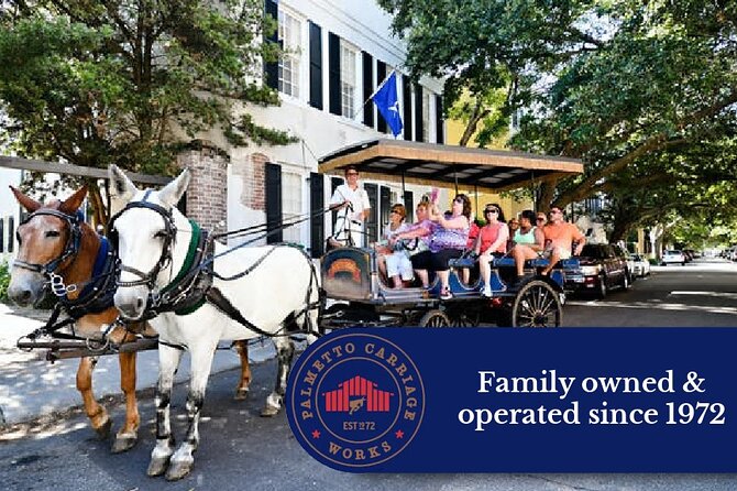 Private Daytime Horse-Drawn Carriage Tour of Charleston - Practical Details and Logistics