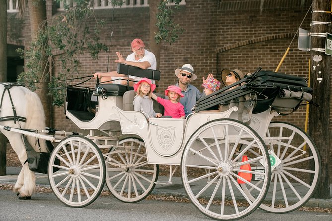 Private Daytime Horse-Drawn Carriage Tour of Charleston - Value and Personalization of This Private Tour