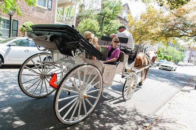 Private Daytime Horse-Drawn Carriage Tour of Charleston - What Makes This Tour Stand Out from Others