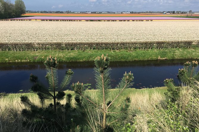 Private daytour from Amsterdam into the Countryside - Scenic Boat Ride at Zaanse Schans