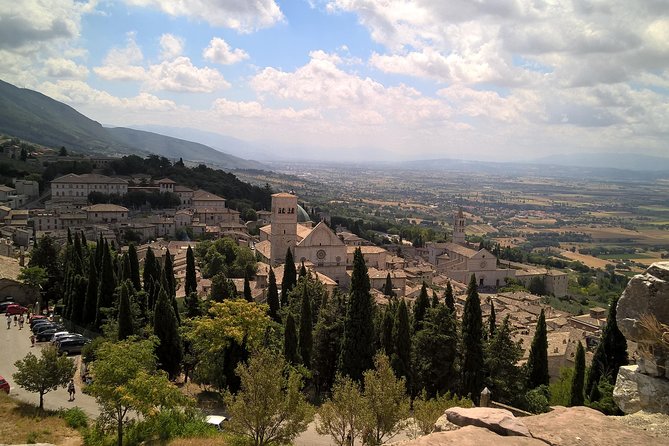 Private daytour Tuscany from Roma or Civitavecchia port - Visiting Castello Banfi – L Enoteca