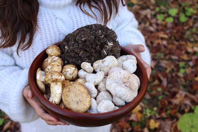 Private Daytrip for Truffle Mushroom Foraging and Wine Tasting - Explore the Unique Experience of Truffle Mushroom Foraging and Wine Tasting Near Athens