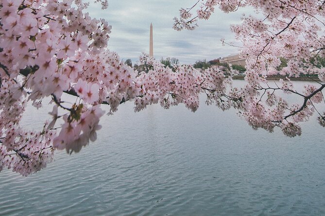 Private DC Guided Bus Tour with Step Off Guide - Reflecting on Sacrifice at the Korean War Veterans Memorial