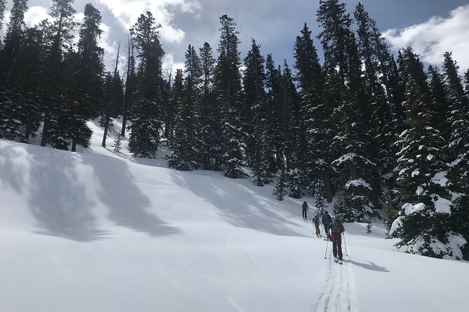 Private Denver International Airport Transfer to Vail or Beaver Creek - Key Points