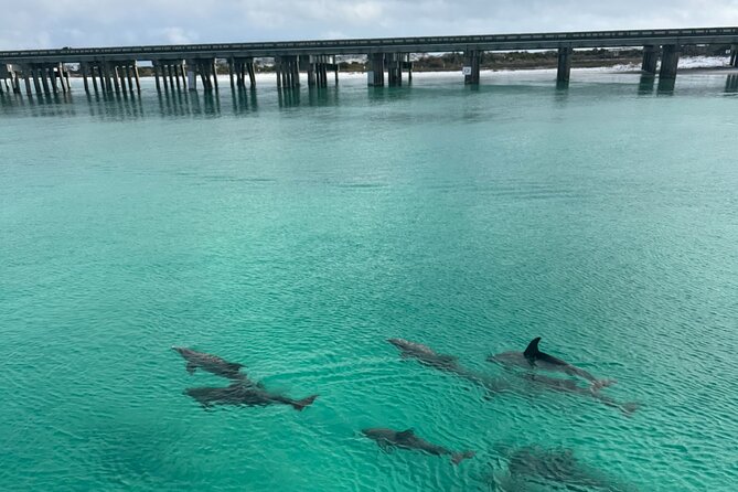 Private Destin Harbor Boat Tour Adventure - Key Points