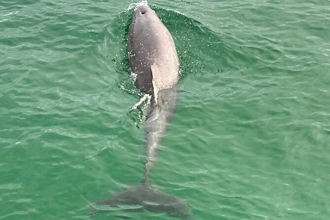 Private Destin Harbor Boat Tour Adventure - Exploring Crab Island and the Inner Canals