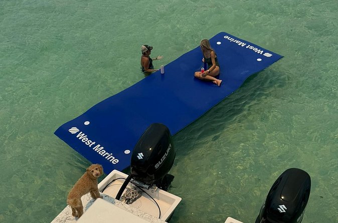 Private Destin Harbor Boat Tour Adventure - Wildlife Spotting and Educational Insights