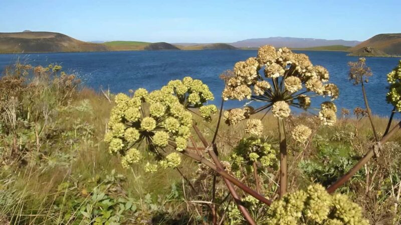 Private Diamond Circle Tour from Akureyri - Goðafoss: The Waterfall of the Gods
