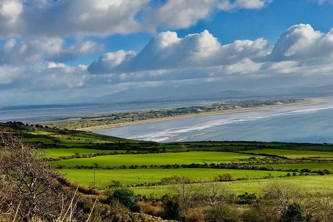 Private Dingle and Slea Head - Dingle Town and Its Irish-speaking Charm