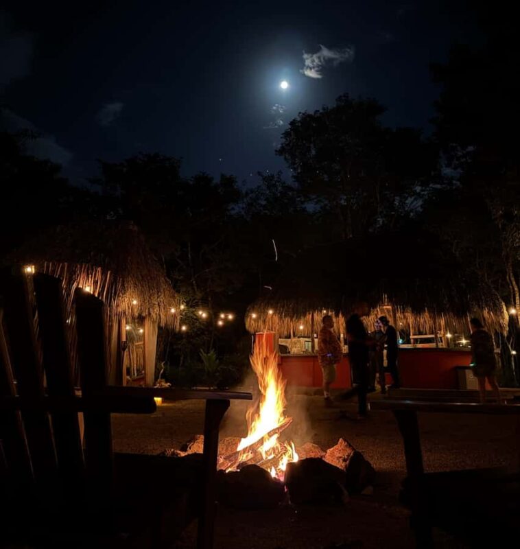 Private dinner inside the cenote - The Unique Setting: Dining Inside a Cenotes Inner Platform