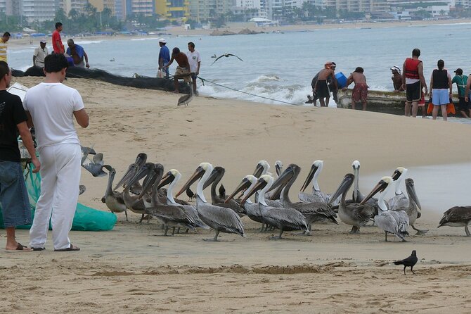 Private Direct Transfer From Mexico City to Acapulco - Cancellation and Booking Flexibility