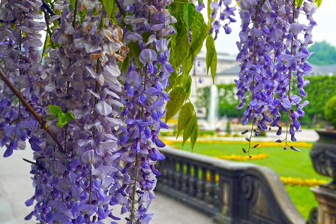 Private direct transfer from Munich Airport to Salzburg - Travel Schedule and Pick-Up Flexibility