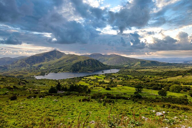 Private Discover Ring of Beara Tour in a Limousine from Killarney - Discovering Glengarriff Woods and the River Walk