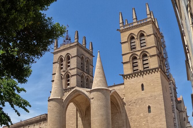 Private Discovery of Montpellier by Bike-Taxi - Logistics and Practical Details